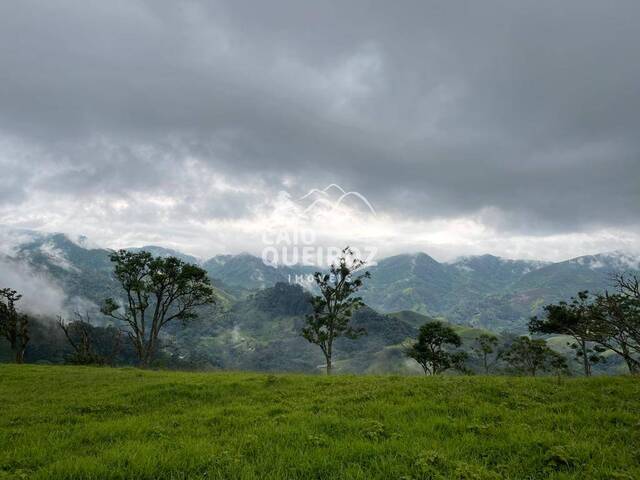 Terreno Rural para Venda em São José dos Campos - 5