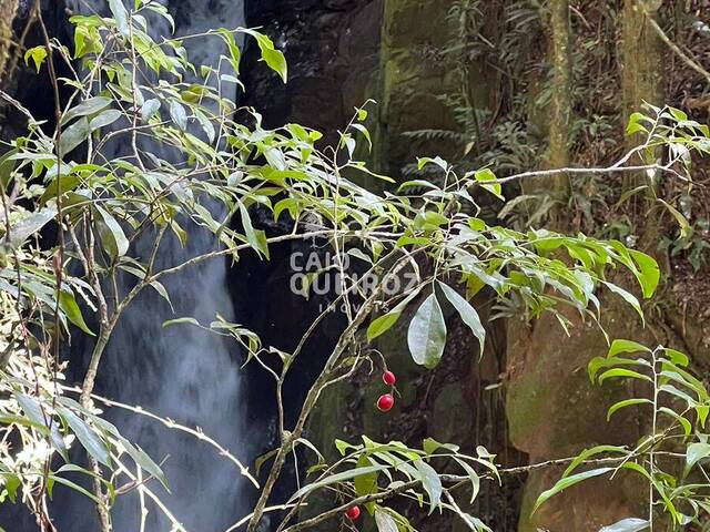 Terreno Rural para Venda em São José dos Campos - 5