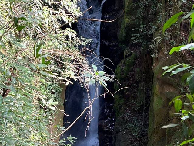 Terreno Rural para Venda em São José dos Campos - 5